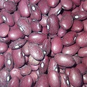 لوبیا قرمز مزرعه زیبا 800گرم
